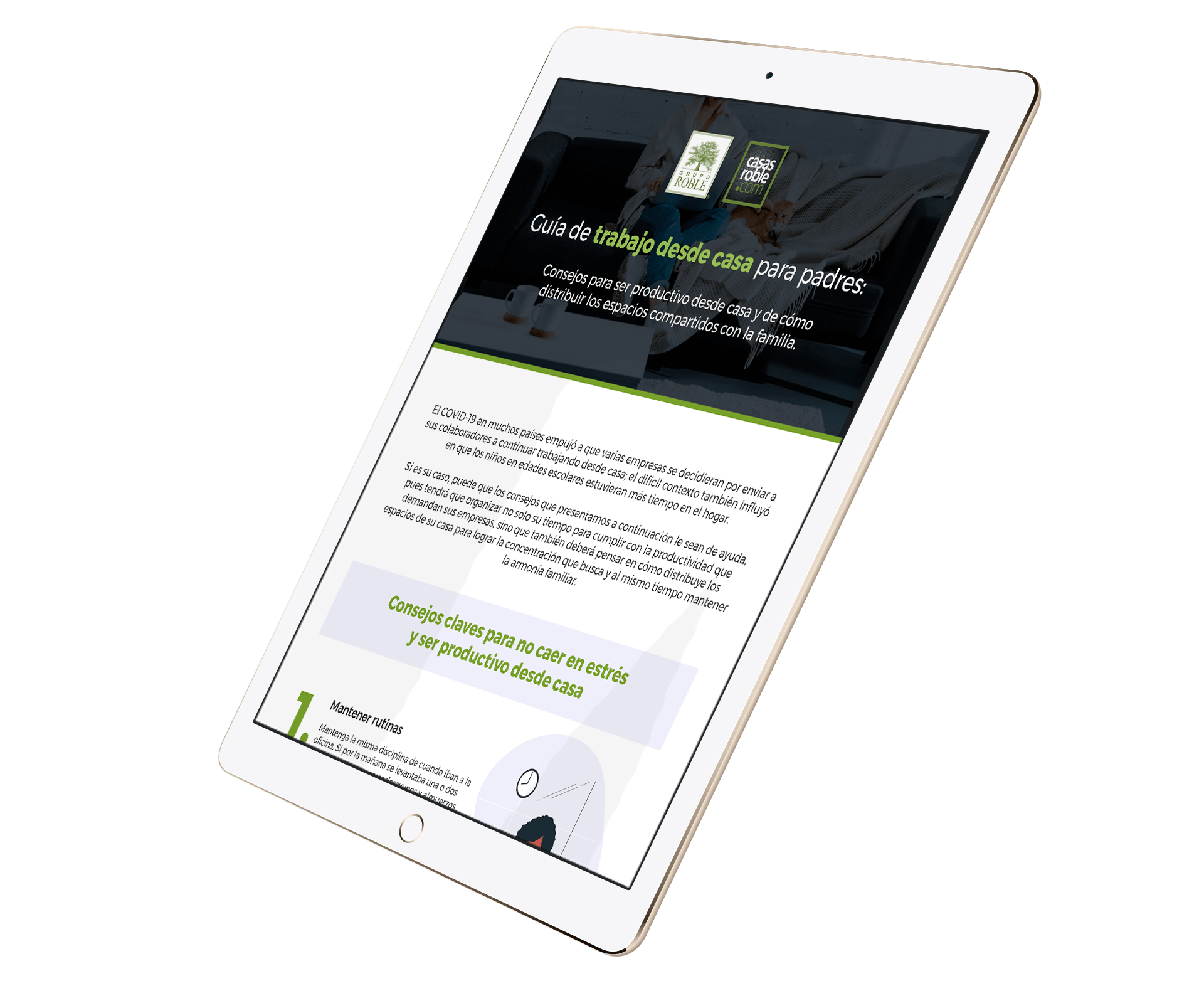 ipad-infografia