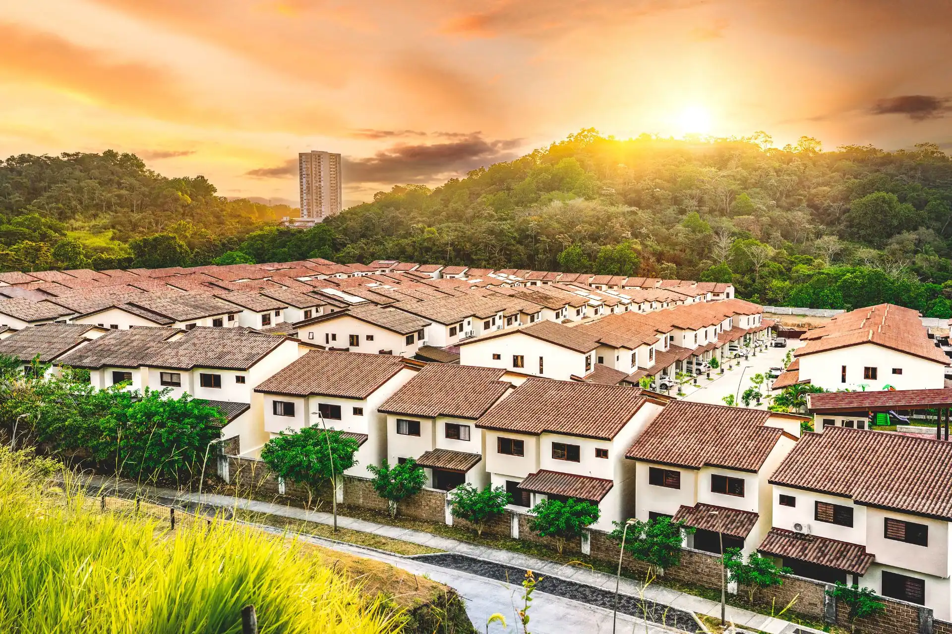 1236c951c42534a4acfa77a3b65cc97c